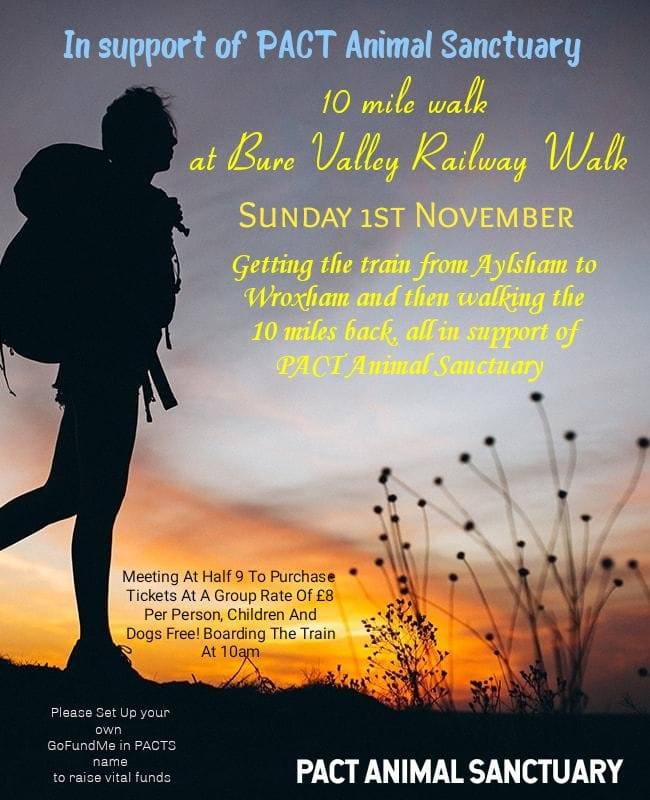 Poster to promote the 10 mile sponsored Bure Valley Railway Walk